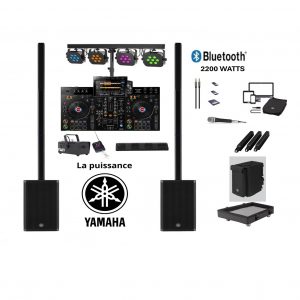 Location-Pack-Yamaha-stage-Pass-Mk2-Pioneer-RX3-a-bordeaux