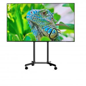 Location-TV-LG-OLED65E6D-SONO-MEDOC