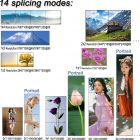 Contrôleur Mur d'images - Sono Médoc affichant 14 modes de splicing et mosaïques portrait/ paysage avec fleurs et montagnes panoramiques