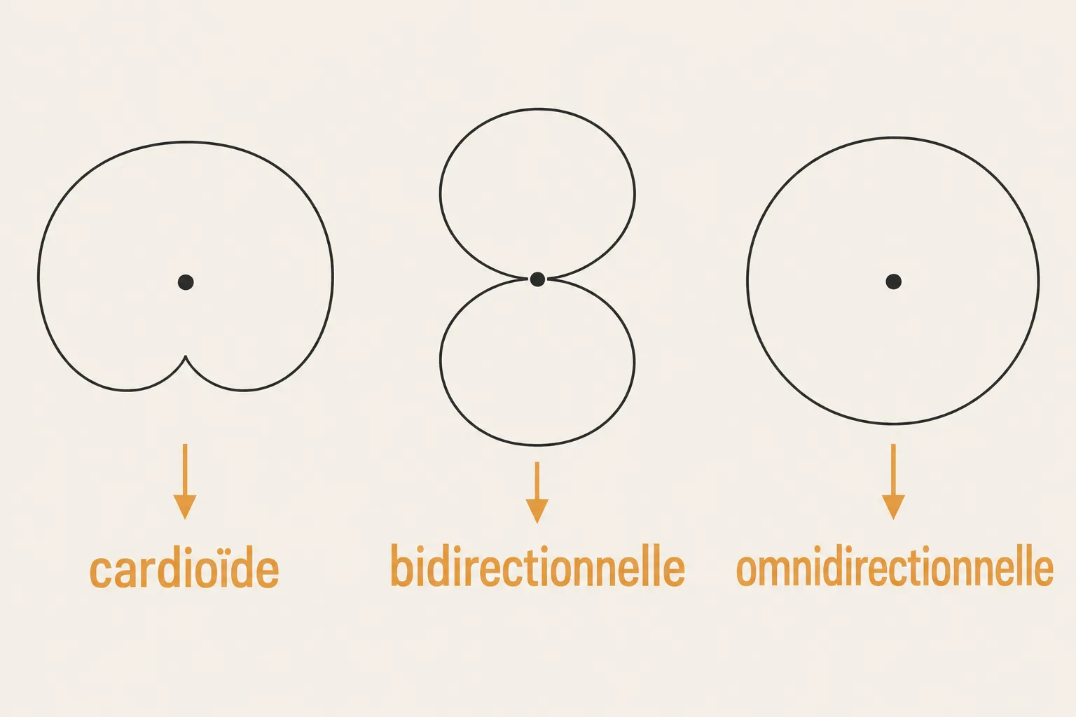 Les différents types de micro illustrés: cardiodie, bidirectionnelle et omnidirectionnelle, montrant les diagrammes de captation.