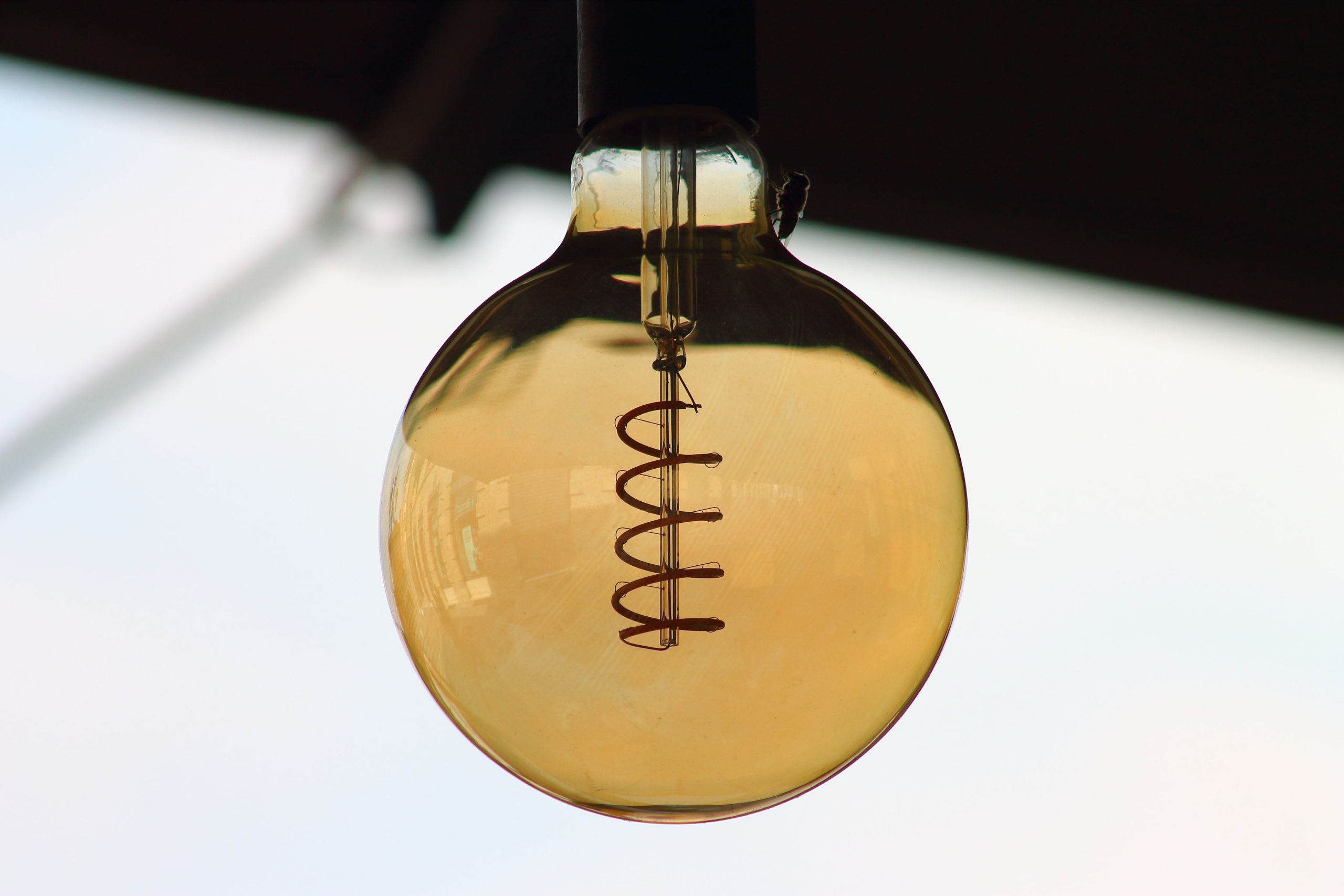 Ampoule à tungstène suspendue vue de face avec fil spiralé à l’intérieur.