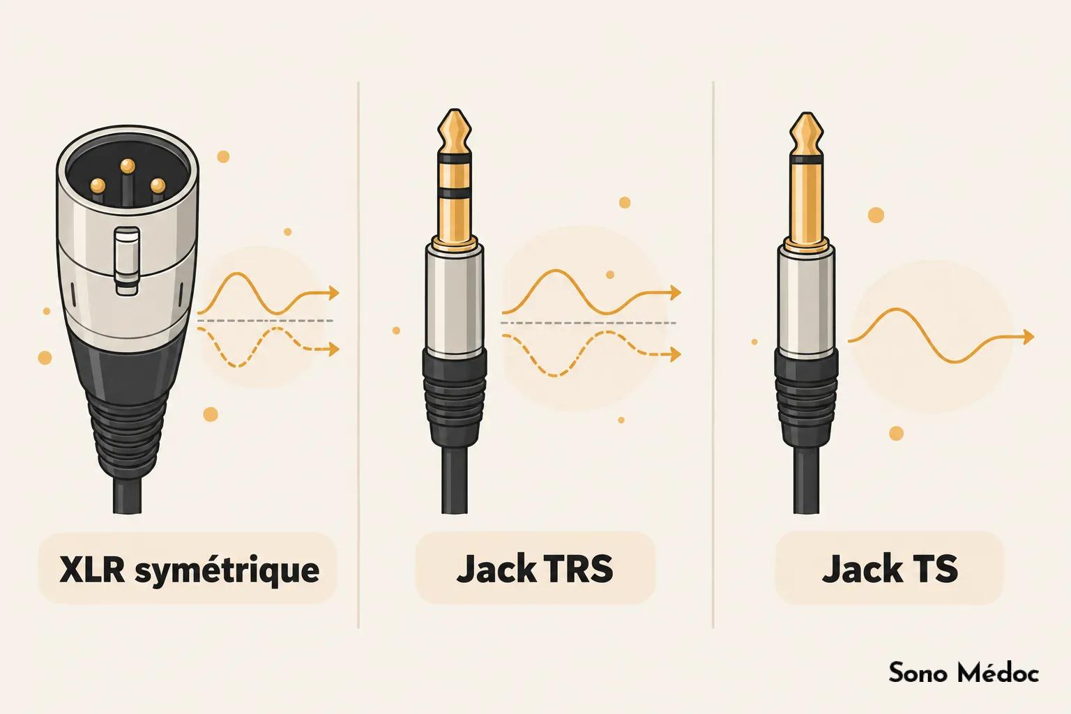 Câble audio avec connecteur XLR symétrique à gauche et deux connecteurs jack TRS et TS au centre et à droite sur fond clair.